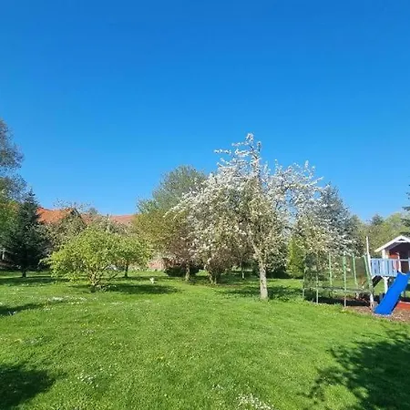 Gutshof Kämmerich - Schwalbennest *