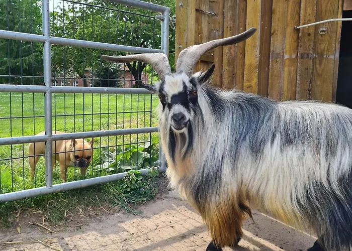 Lägenhet Gutshof Kaemmerich - 